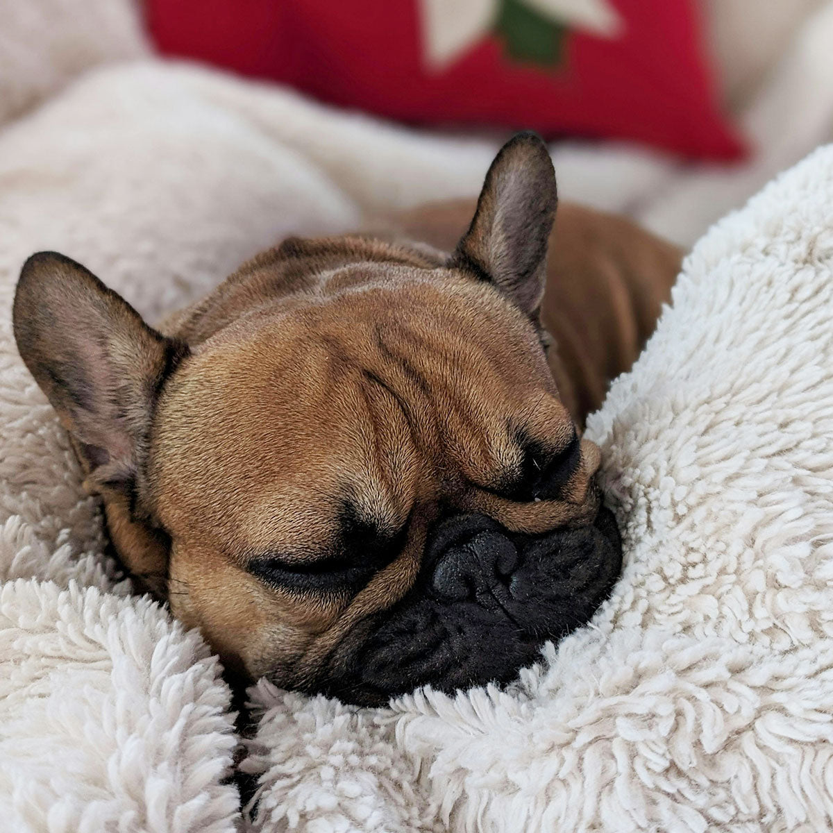 A dog laying in a sheepskin blanket