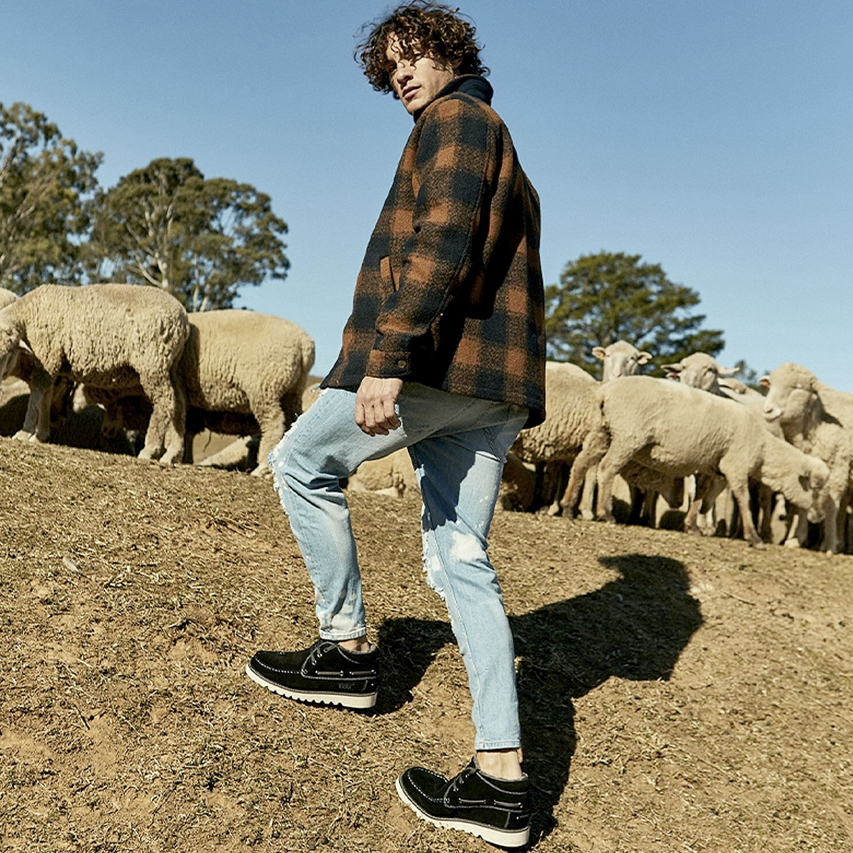 Black UGG Boots with a Flock of Australian Sheep