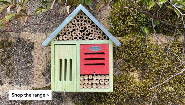 Bug and Bee hotels Ireland