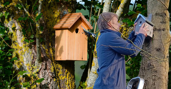 Helping wild birds in Spring