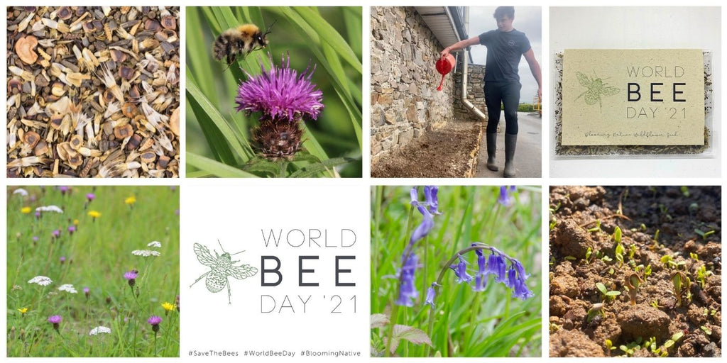World Bee Day Competition