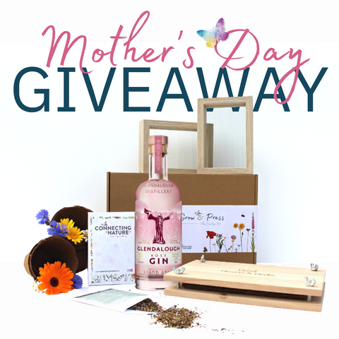 Mothers Day Giveaway Gift