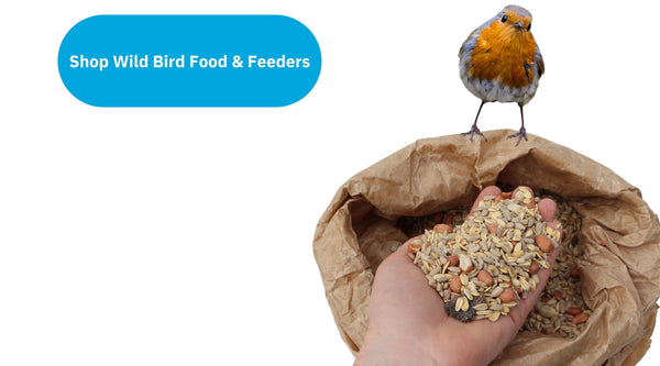 Wild bird food and feeders ireland