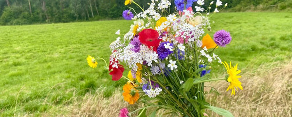 Wildflower Bouquet