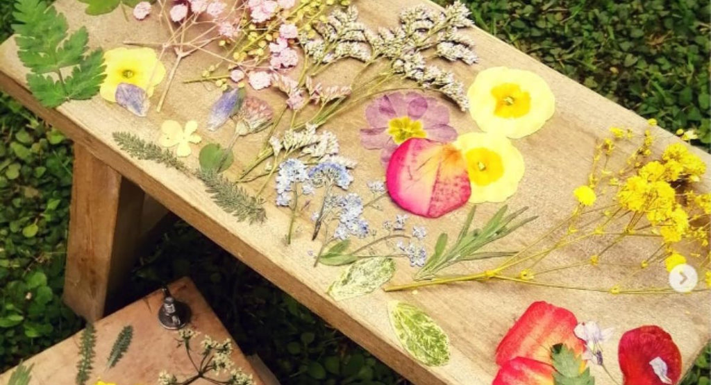 Pressed Wildflowers