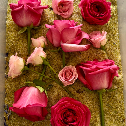 Drying flowers