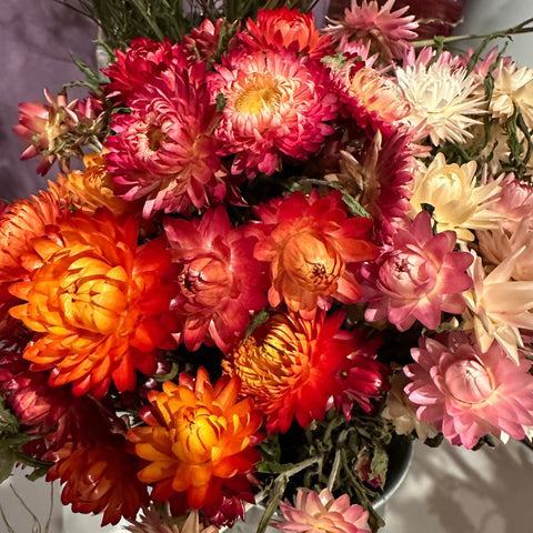 dried straw flowers