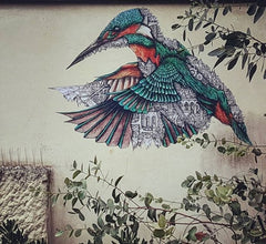 Ardif street art Colibri wall painting