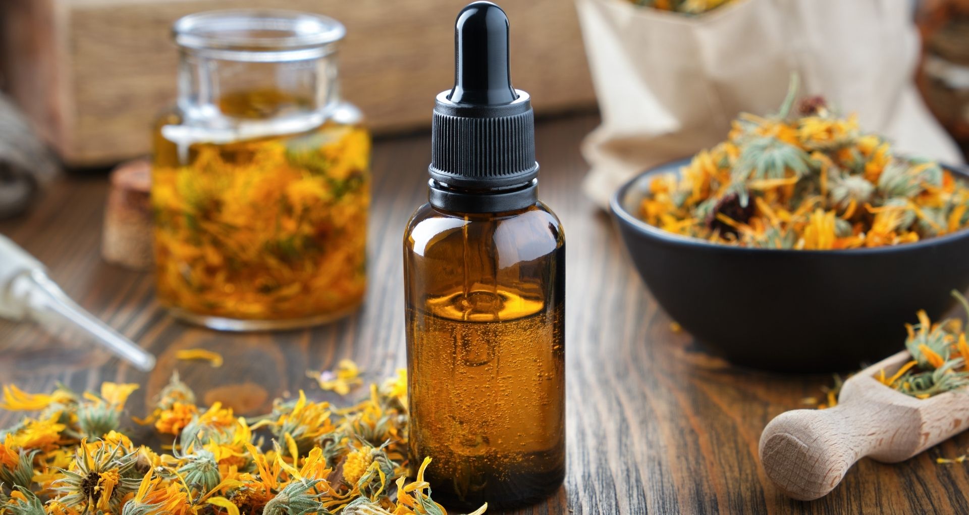 Calendula Flower, Benefits & More