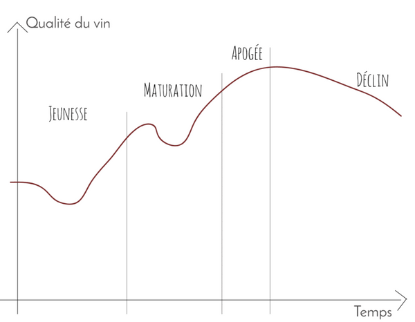 courbe-évolution-vin