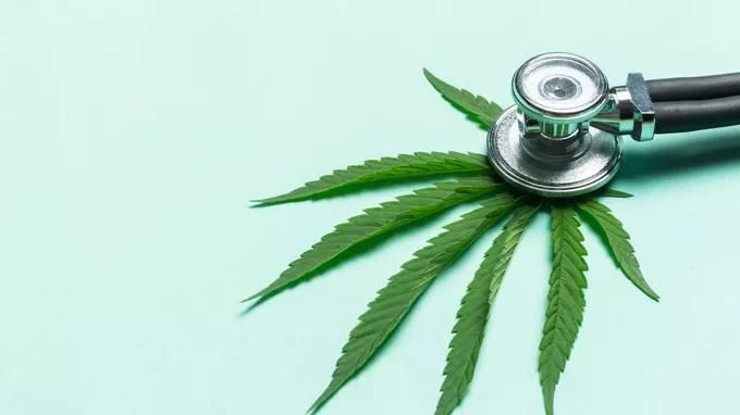 Marijuana Médicale est utilisé dans certain cas de maladies graves