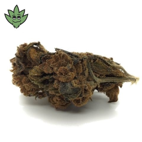 Fleur CBD Jamaïcain | tristancbd.com®