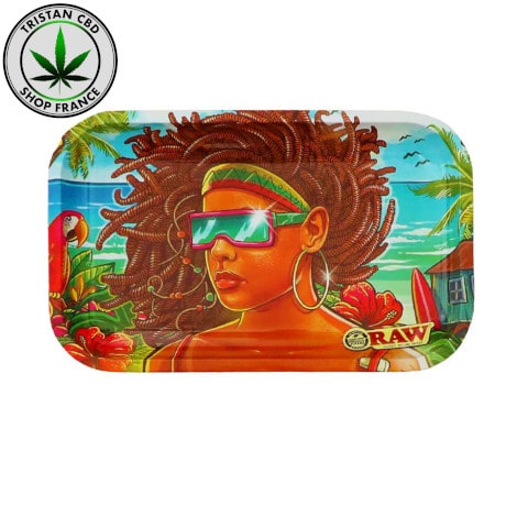 Head Shop France Plateau Raw Brasil | tristancbd.com®