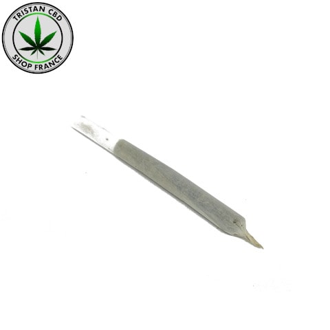 MINI Pré Roulé THCP 20% Amnésia US SAtiva | tristancbd.com®