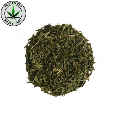 Infusions CBD BIO Thé Vert Sencha | tristancbd.com®