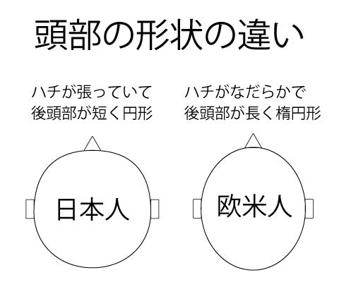 頭部の形状の違い