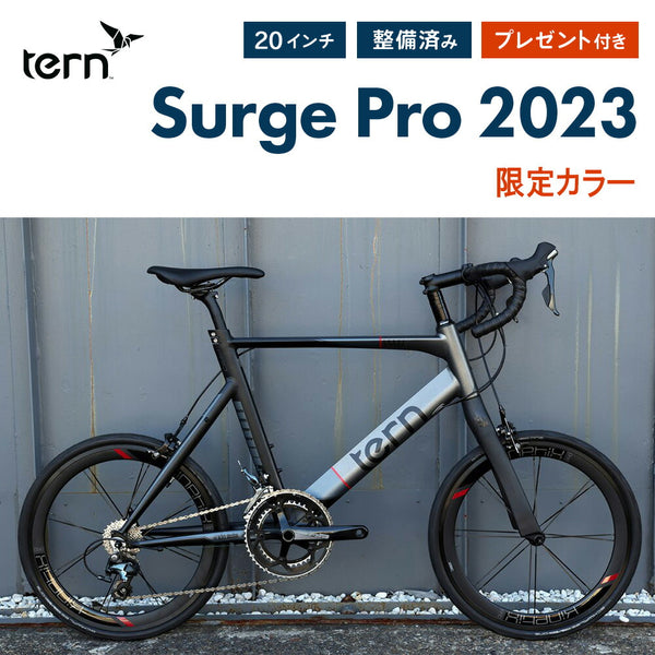 スタニングルアー 送料込み TERN ターン 2022 SURGE サージュ