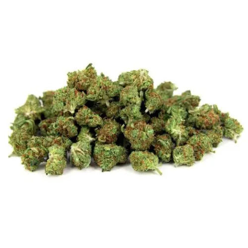 Mini Bud Premium (Indoor) - Stormrock