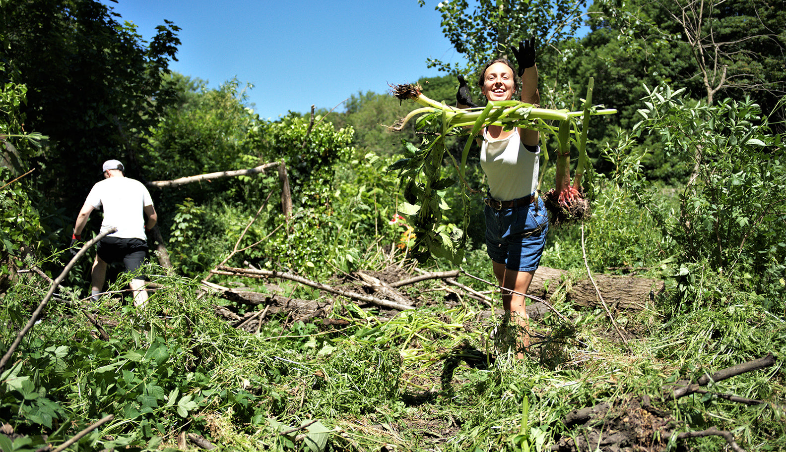 tyne rivers trust volunteering day