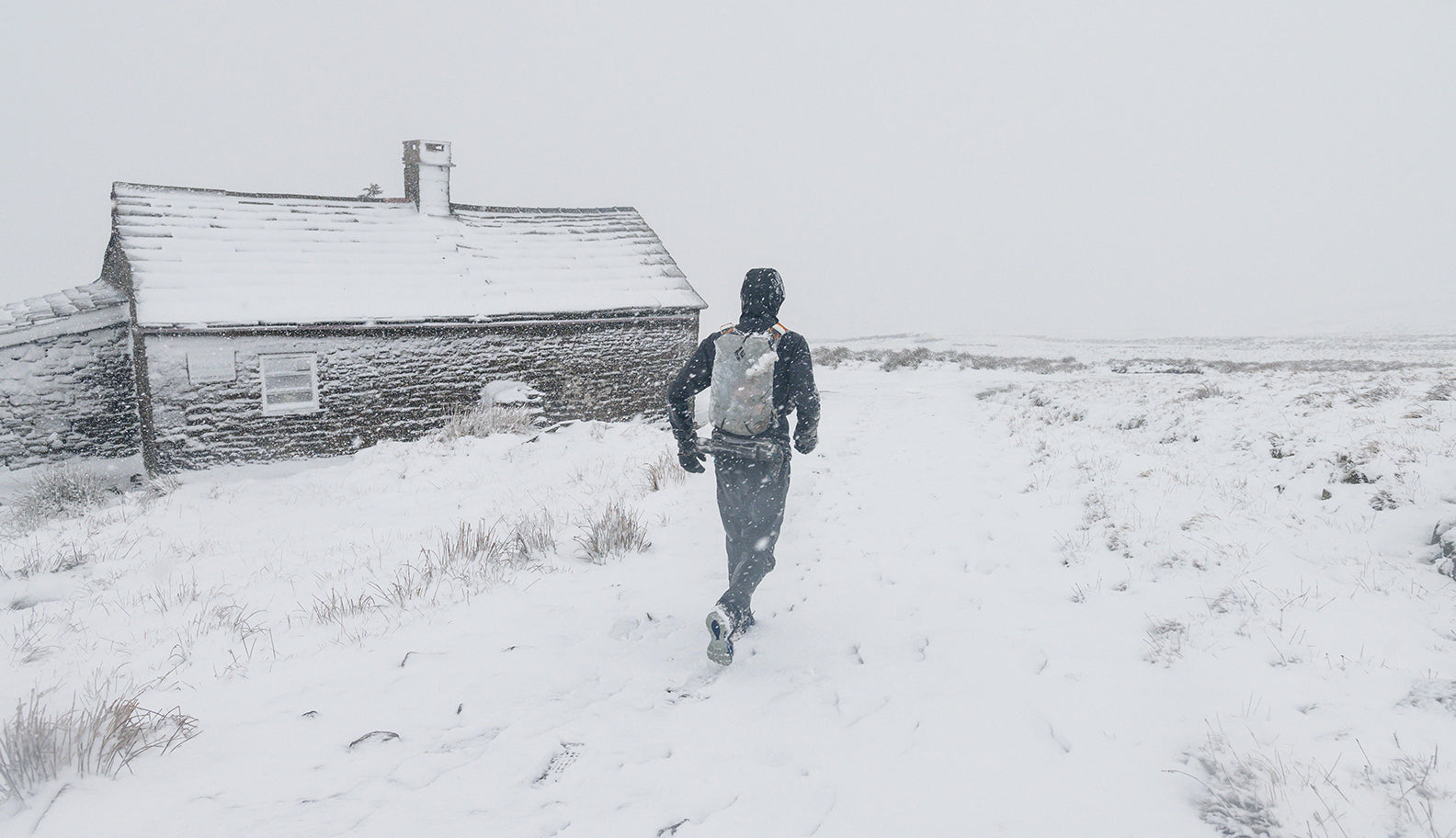 spine race film