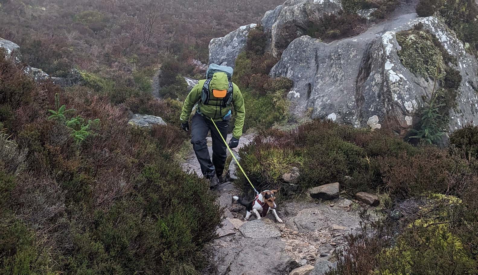 Hiking with your dog