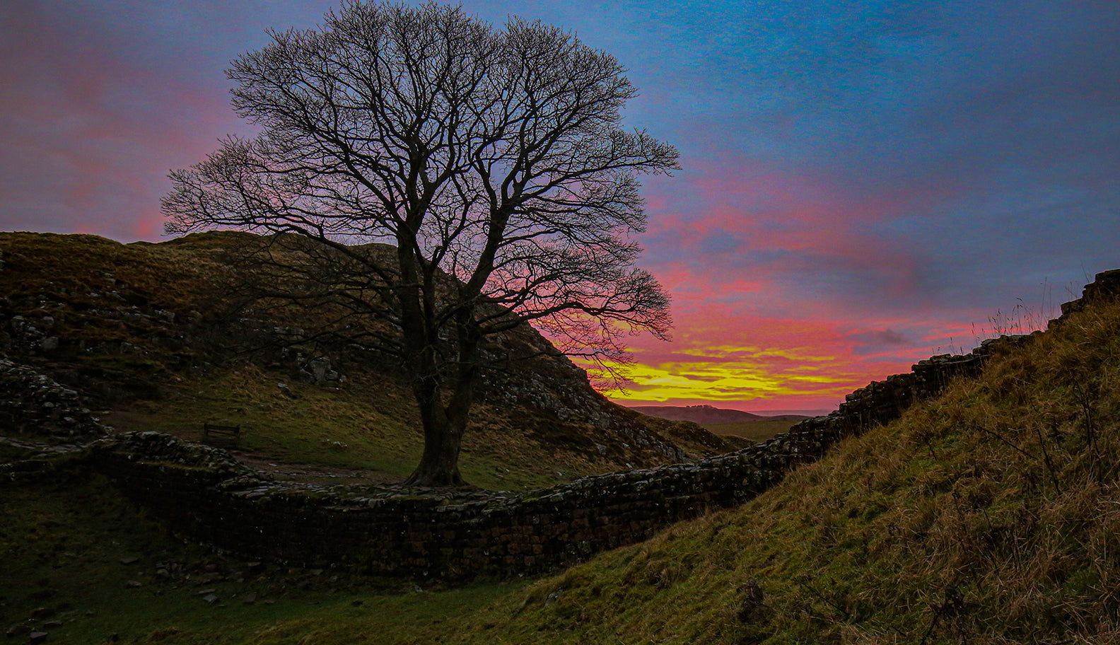 Sycamore Gap at Sunrise on the Spine race | Montane 
