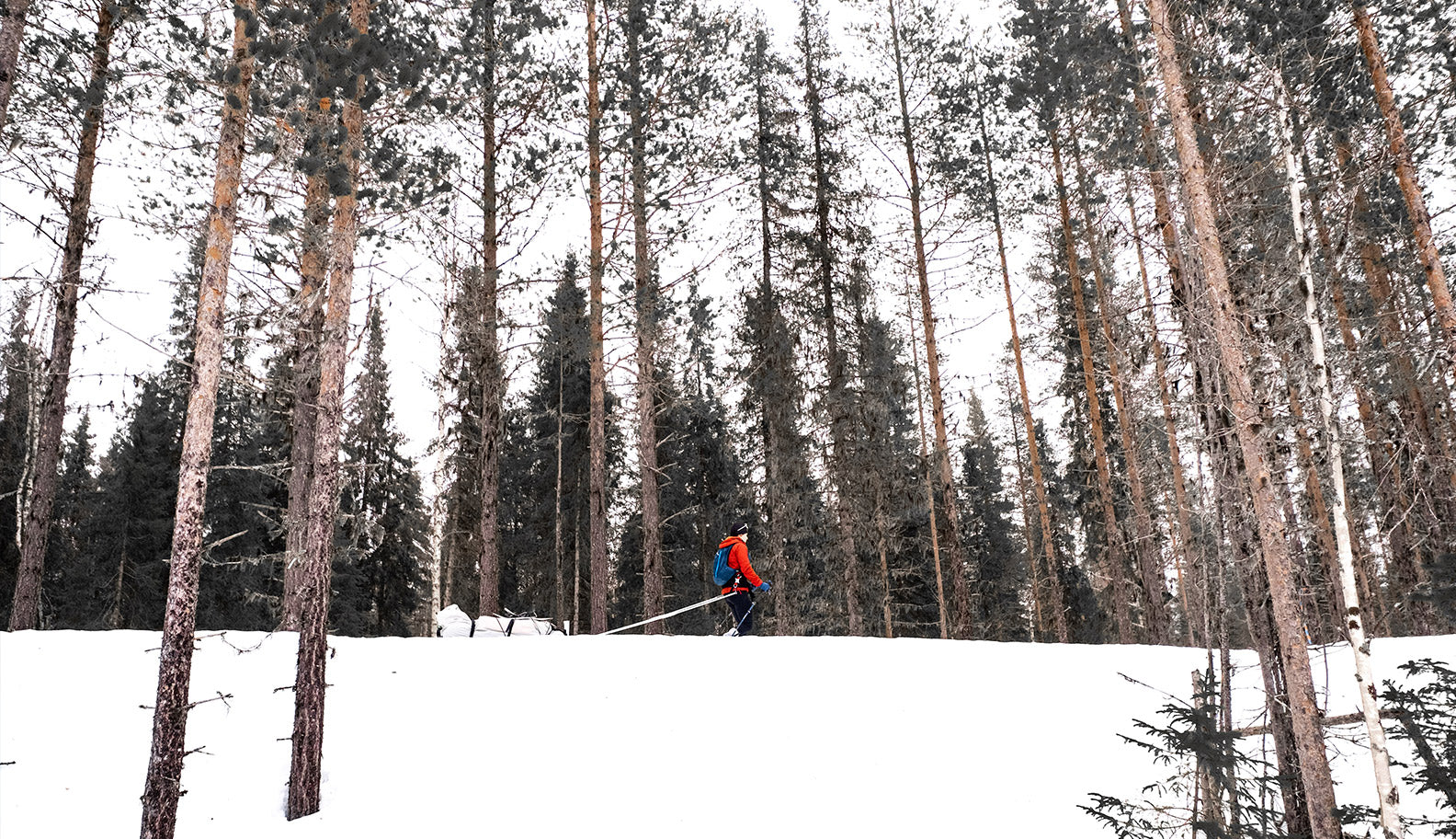 woman-running-in-forest-with-sled