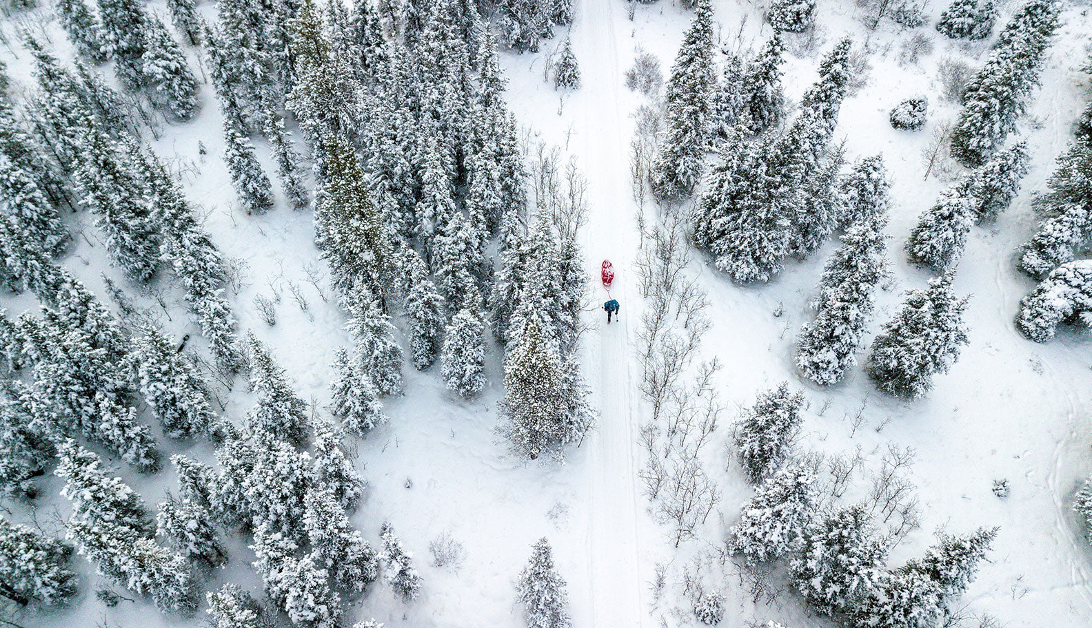 Aerial shot of a racer on the Montane Yukon Arctic Ultra