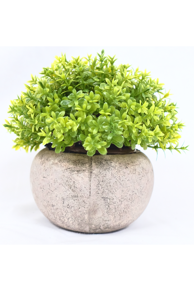 Inpakken Correctie attent Klein lichtgroene kunstplant in pot 12cm | PrettyPlants