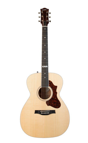 全商品オープニング価格！ Dexter acoustic guitar アコースティック