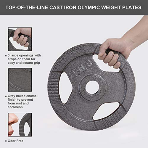 Details about   Champion Barbell Olympic Grip Plates 2.5-100 lb Ships FedEx 
