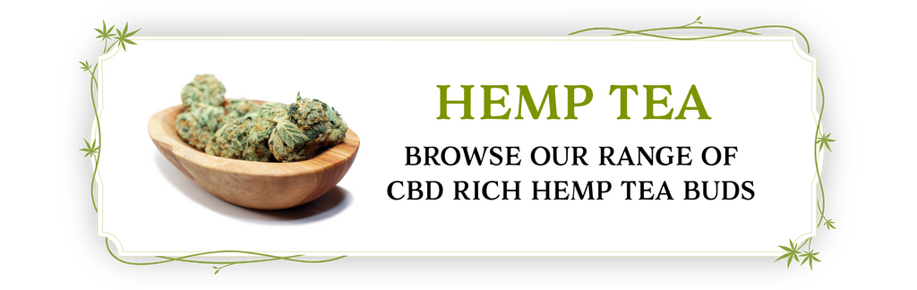 Browse our range of rich CBD hemp buds