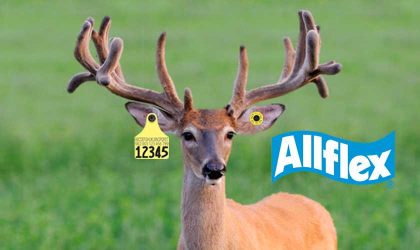 DeerTags.com