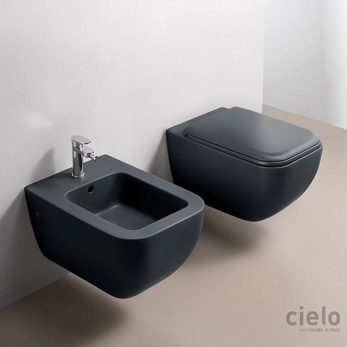 black-bidet-and-toilet