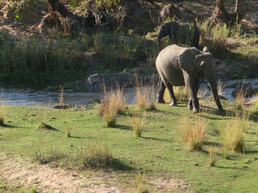 The Leopard Creek Course