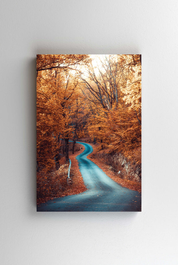 Tablou Canvas - Autumn Forest Road