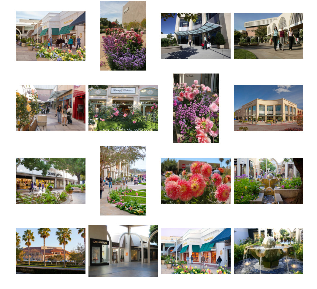 Garden Of Everything: Stanford Shopping Center