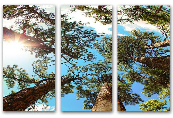odes to nature prints as a gift for those who love the outdoors