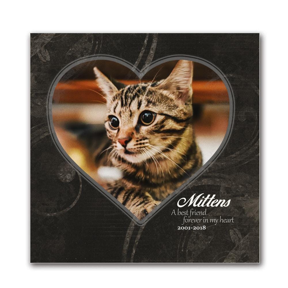 Your Photo On Canvas Pet Cat Memorial Personalized Pet Art Gifts Personal Prints