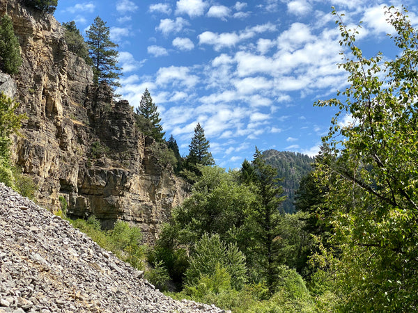 small stream hiking adventures