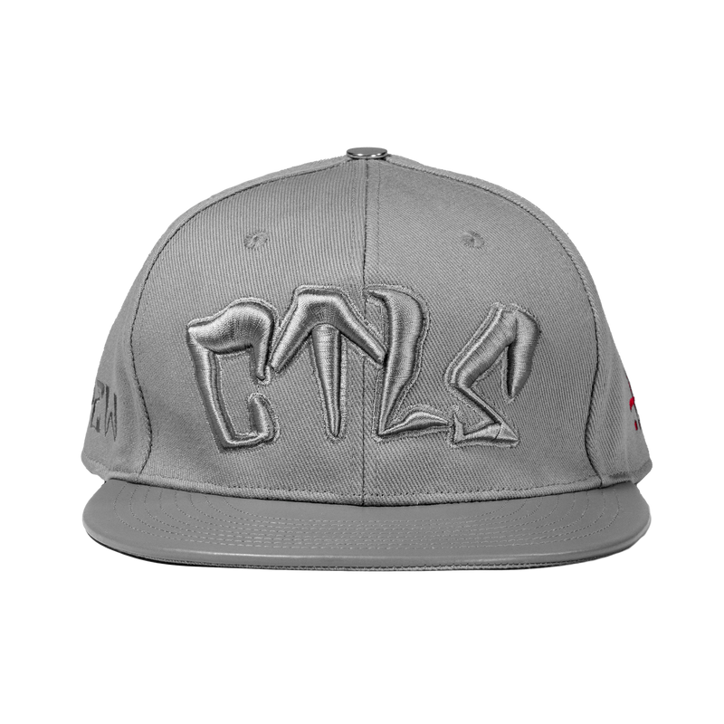 cvtvlist - 3D LOGO CAP GRAY-