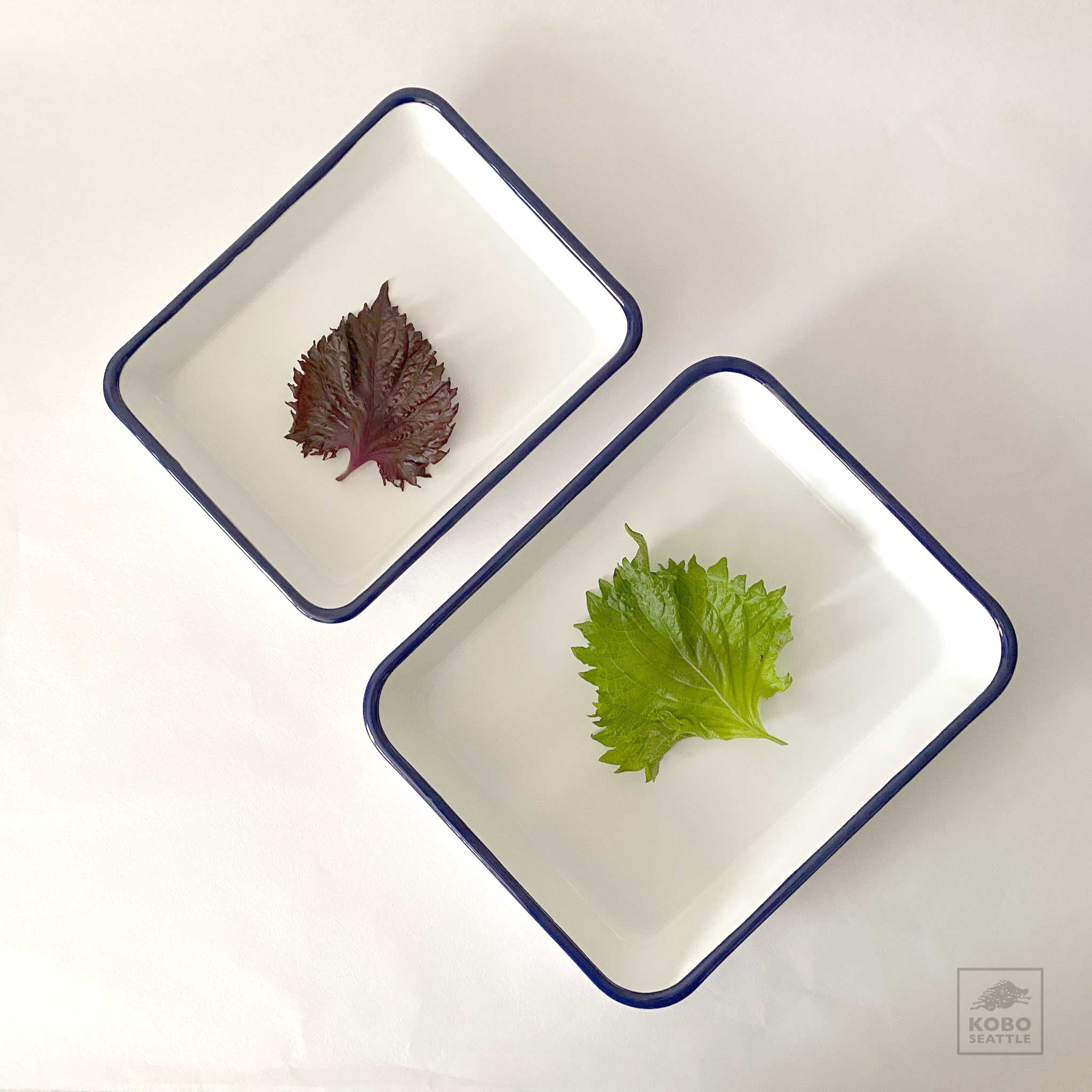 White Enamelware Tray