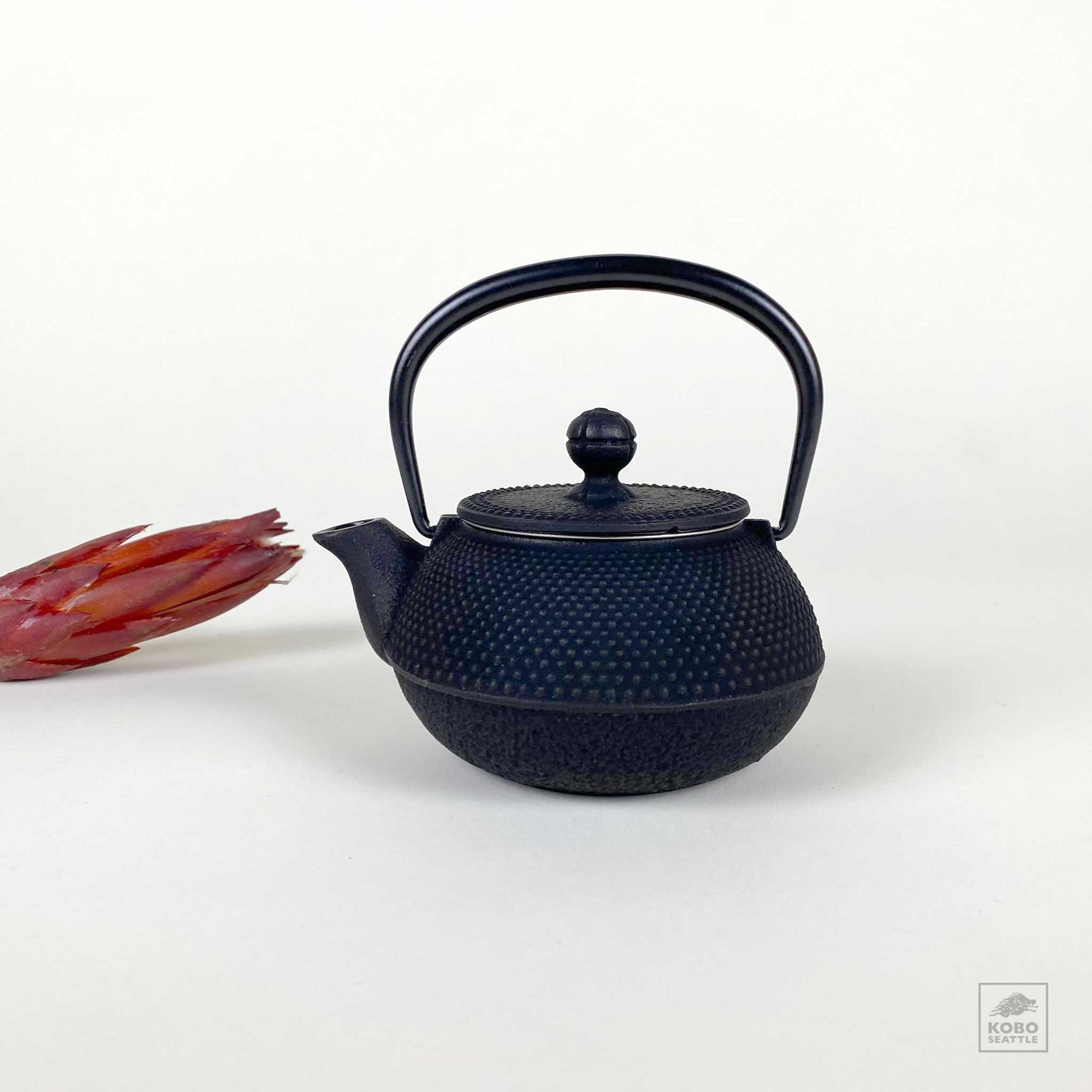41030D Black Japanese-Style Tea Pot with Bamboo Design