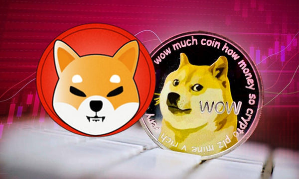 SHIBA Inu and Doge coins/cryptocurrency 