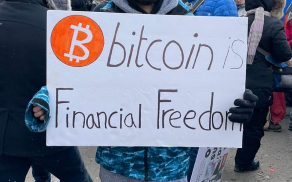 Image showing a sign where it says bitcoin is financial freedom. It is made at the Canadian freedom protest  which recently faced the tyranny of their bank accounts and money being frozen and/or taken from them. 