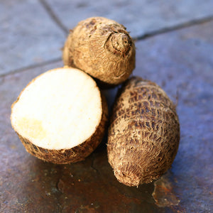 5 lb of Japanese taro root bulbs for growing or eating -- USDA Inspected no chemicals or sprays.