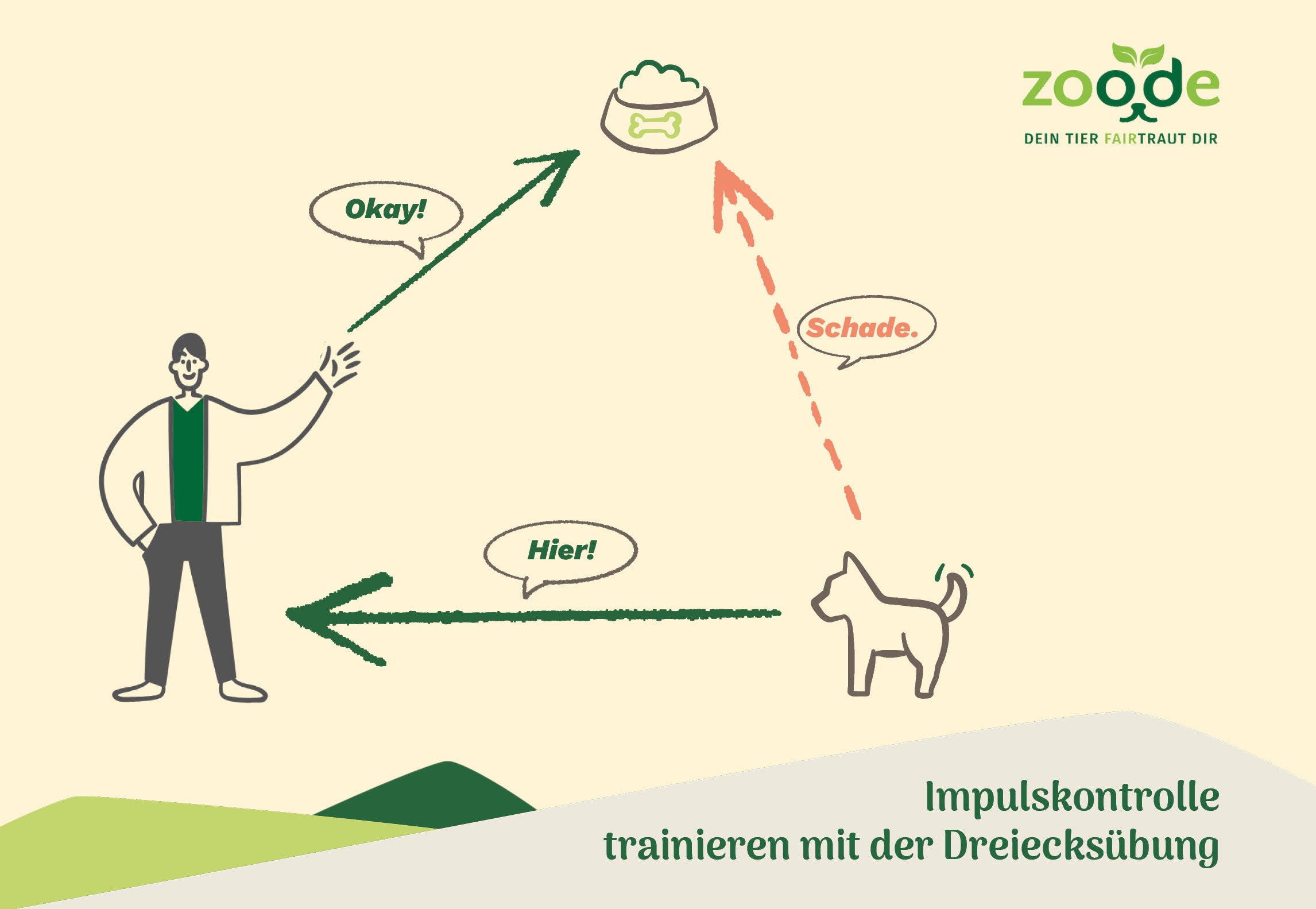 Dreiecksübung zur Verbesserung der Impulskontrolle beim Hund