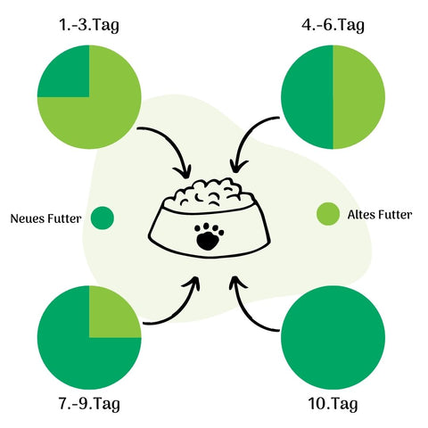 Futterumstellung