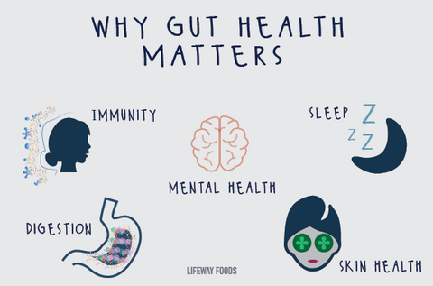 Why Gut Health Matters