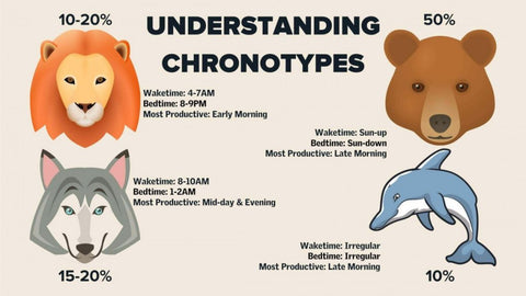 Chronotypes